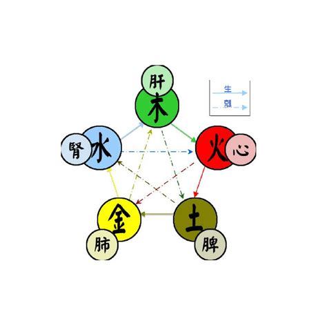 5行 火|五行（对万事万物的取象比类）